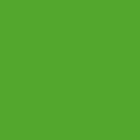 couleur liturgique : le vert